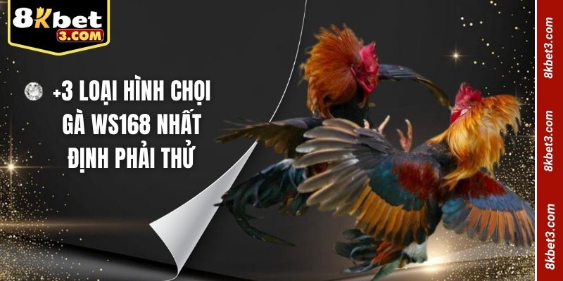 +3 loại hình chọi gà WS168 nhất định phải thử