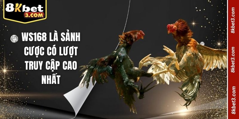 WS168 là sảnh cược có lượt truy cập cao nhất