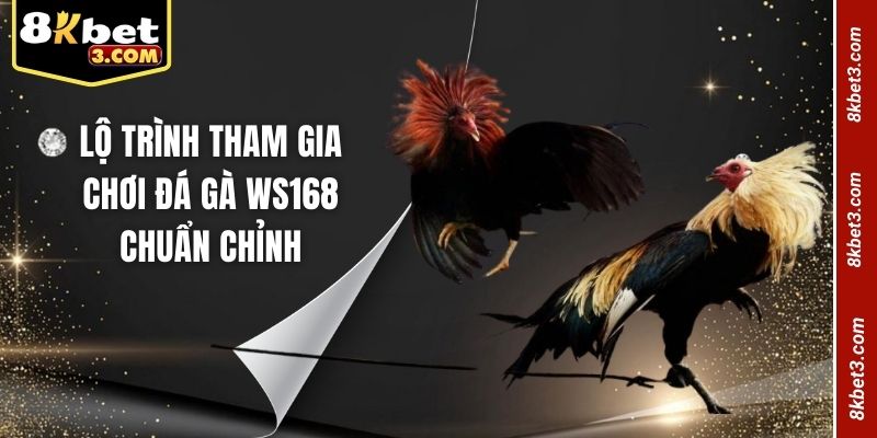Lộ trình tham gia chơi đá gà WS168 chuẩn chỉnh
